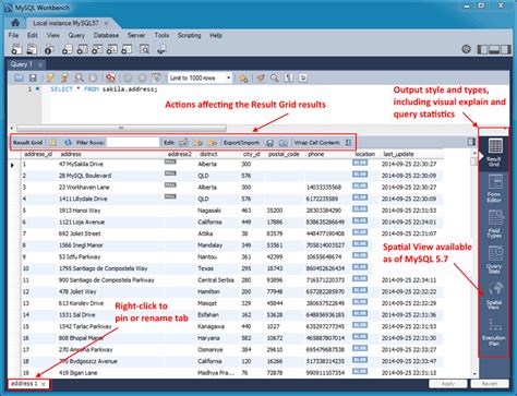 result grid in mysql workbench|MySQL :: MySQL Workbench Manual :: 8.1.11 Code Generation .